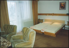 Hotel Pavla Vysoina Vlachovice 4