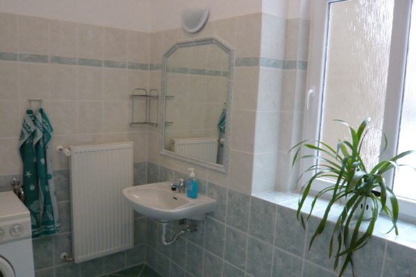 Apartmny Hortensia Teplice 8