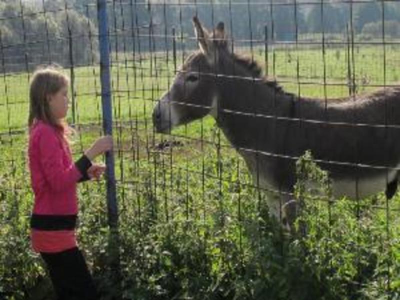 Rodinn Penzion na Hrubch lukch 8